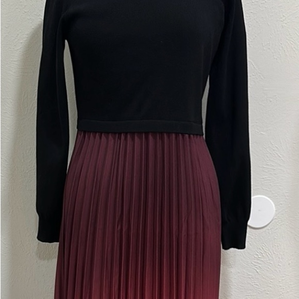 Black and Burgundy Pleated Dress